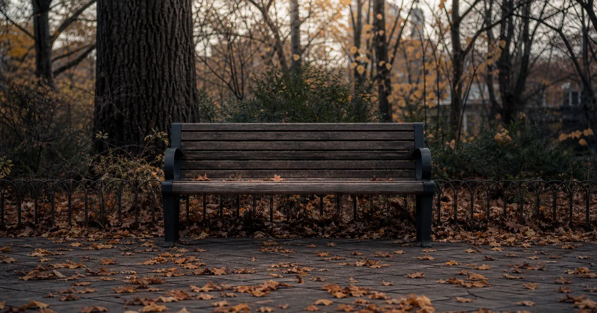 A quiet neighborhood park bench in autumn with fallen leaves on a paved path, muted daylight through bare trees, no people present